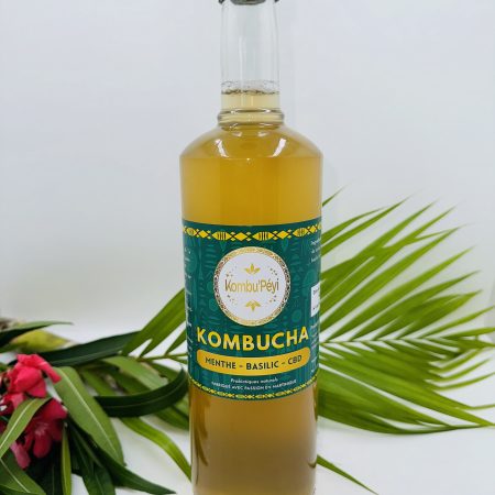 KOMBUCHA MENTHE BASILIC CBD