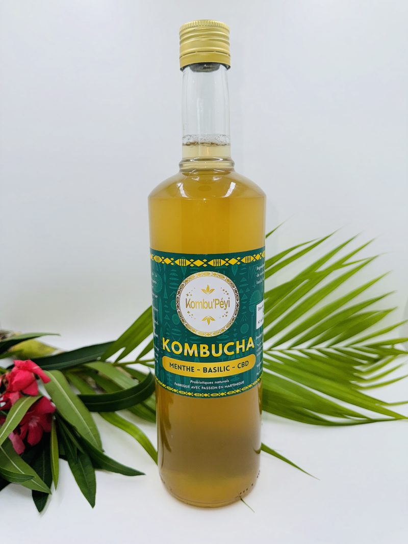 KOMBUCHA MENTHE BASILIC CBD