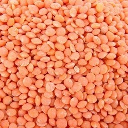 Lentilles corail Canada vrac