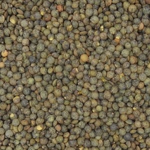 Lentilles vertes Canada vrac