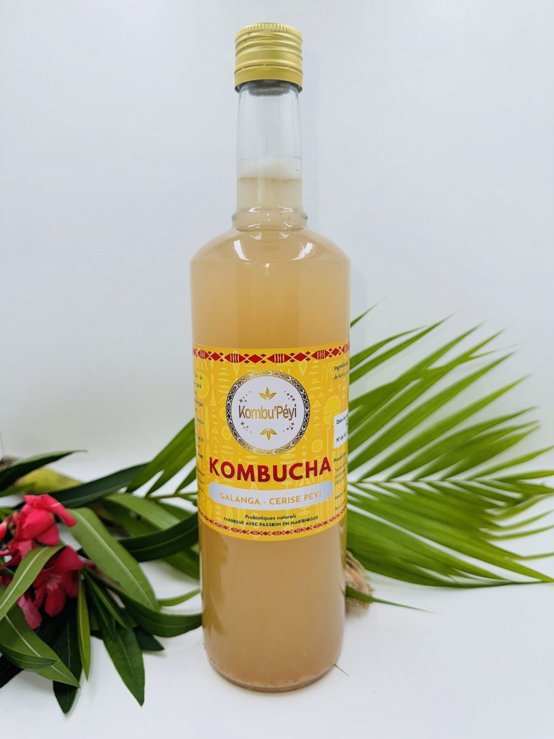 KOMBUCHA GALANGA CERISE PEYI