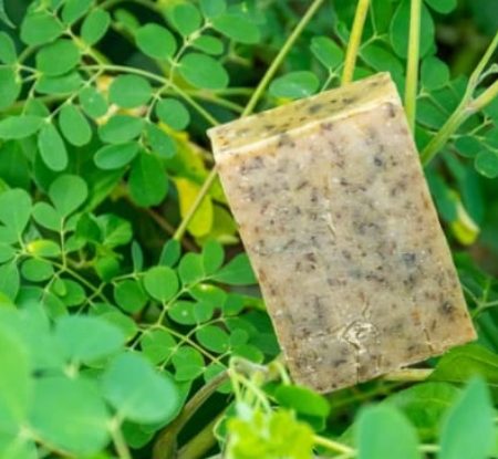 SAVON AVOCAT MORINGA