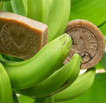 SAVON BANANE