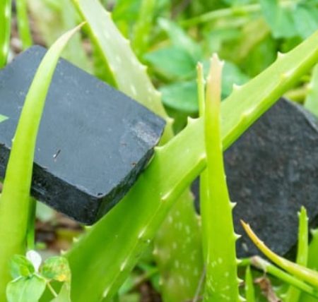 SAVON ALOE GOUDRON DE PIN